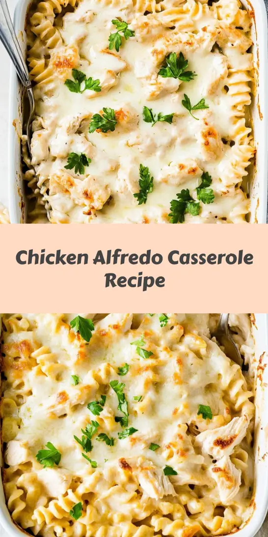 Chicken Alfredo Casserole Recipe