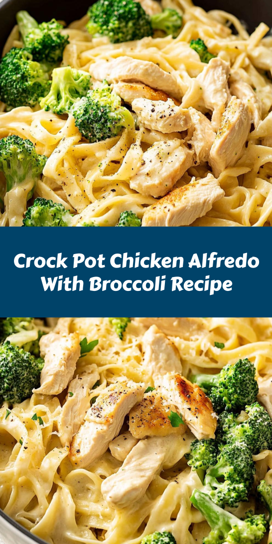 Crock Pot Chicken Alfredo With Broccoli Recipe