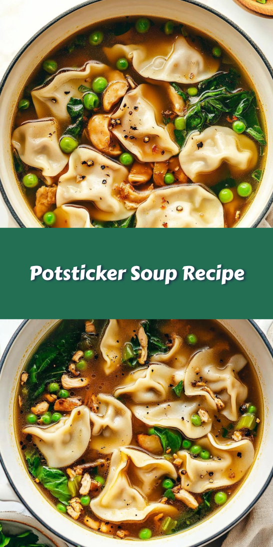 Potsticker Soup Recipe